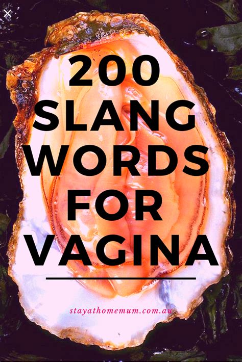 pussy synonyms|What is another word for vagina